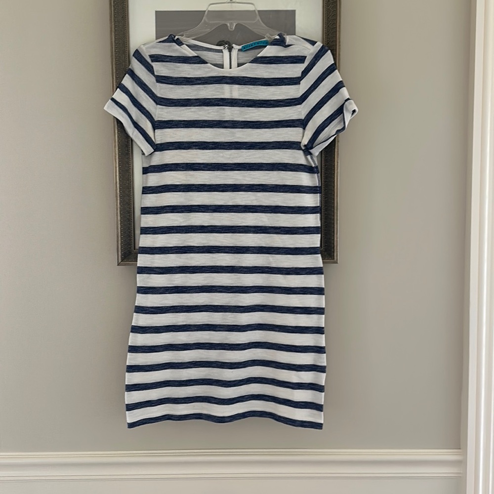 Alice + Olivia Blue and White Striped Knit Dress Sz Xs EUC
